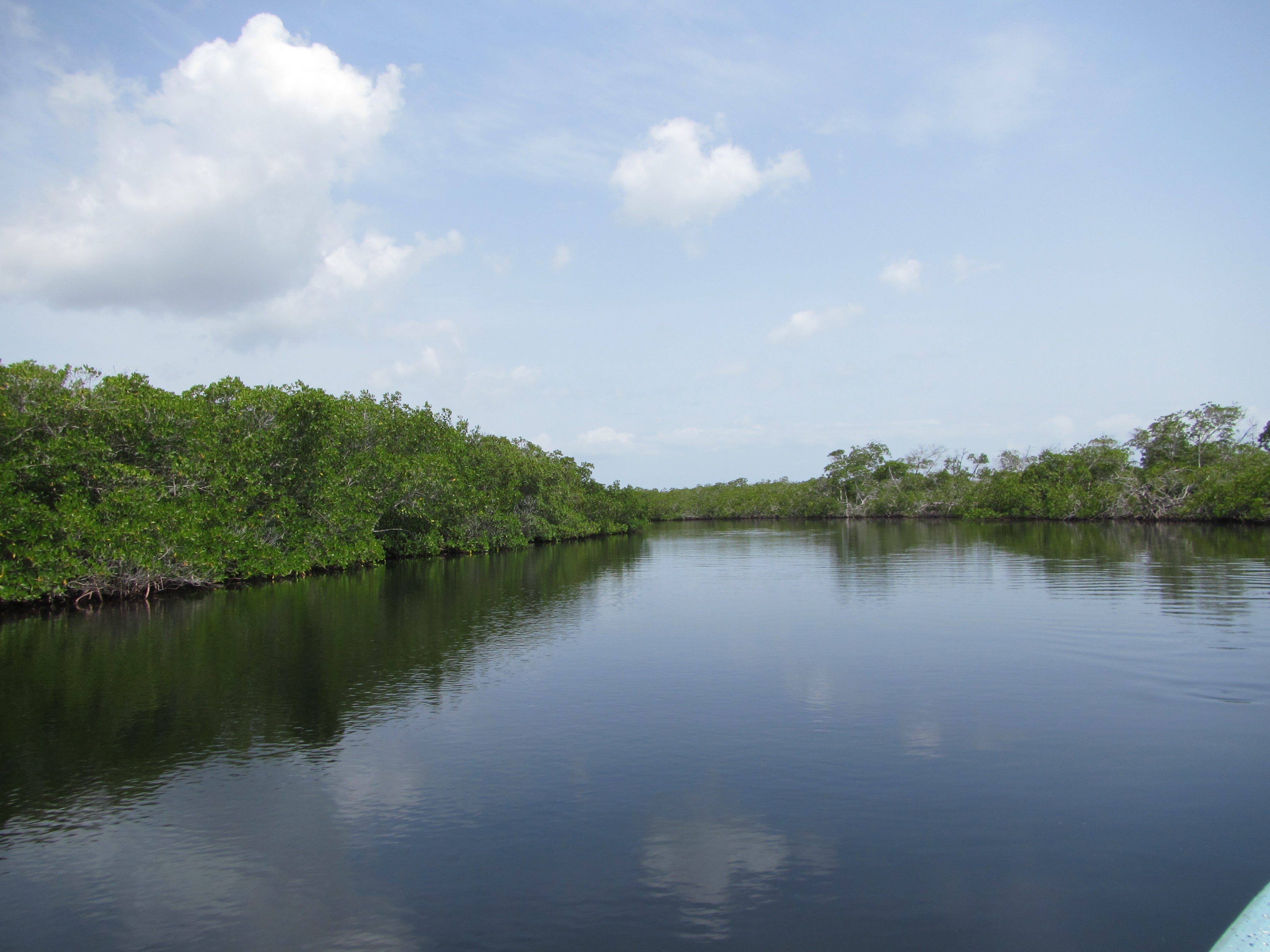 Finding the best hangout spot for manatees in Cuba experiment Medium