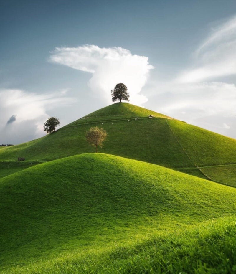 Buried Here Rolling hills pass from view. Wavy grasses sway to the
