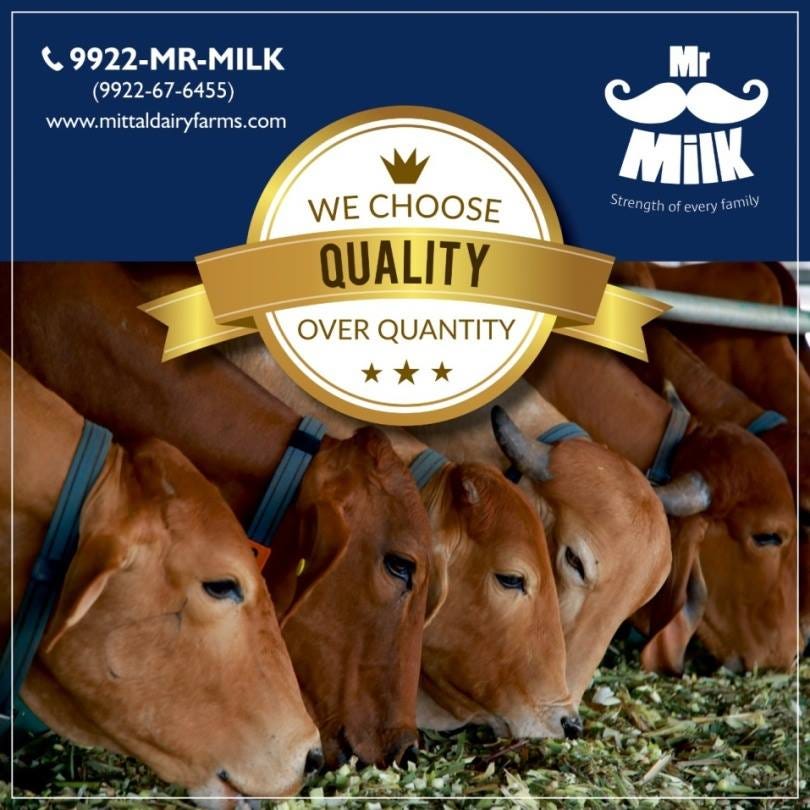 7 Incredible Benefits of Desi Cow Milk by Mr. Milk — Mittal Dairy