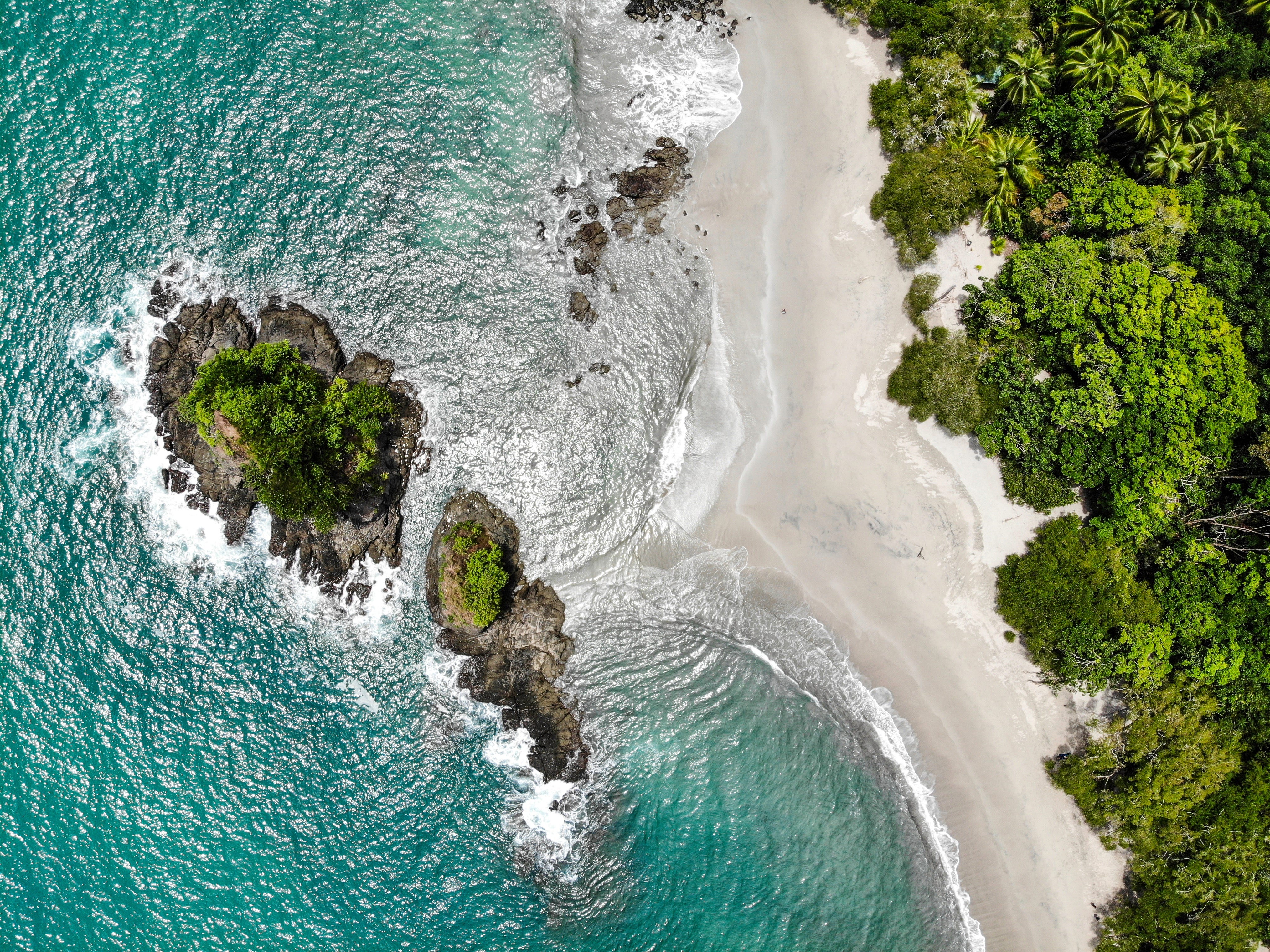 Climate change is reducing the beach area at Ballena Marine National