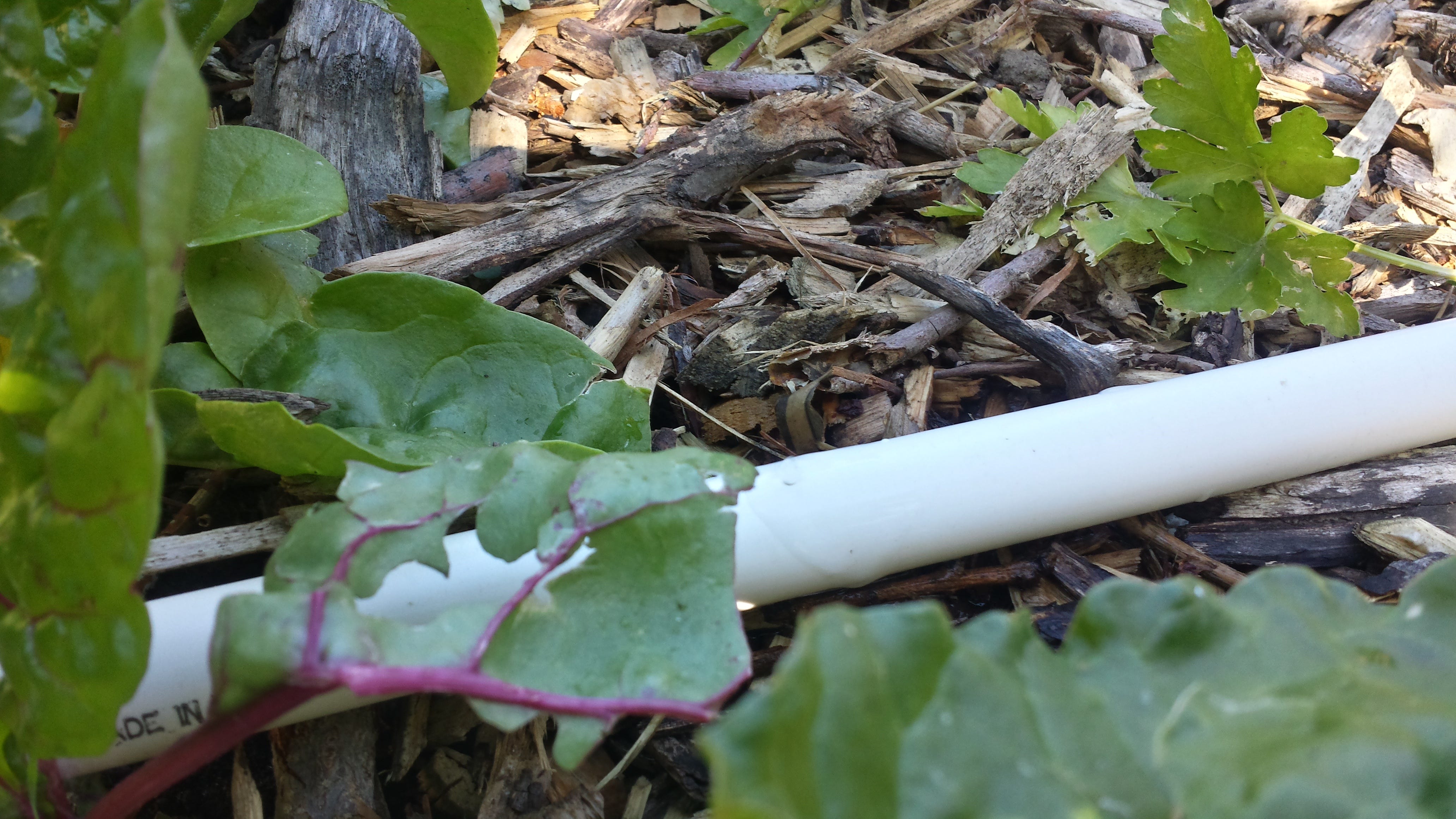 PVC Pipe Drip Irrigation. This past weekend I finally got my drip… by