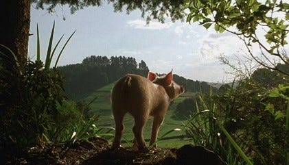 With nicolas cage, alex wolff, cassandra violet, julia bray. The Way Things Are Is Babe Pig Movie Woke Or Nah By Z Pee Medium