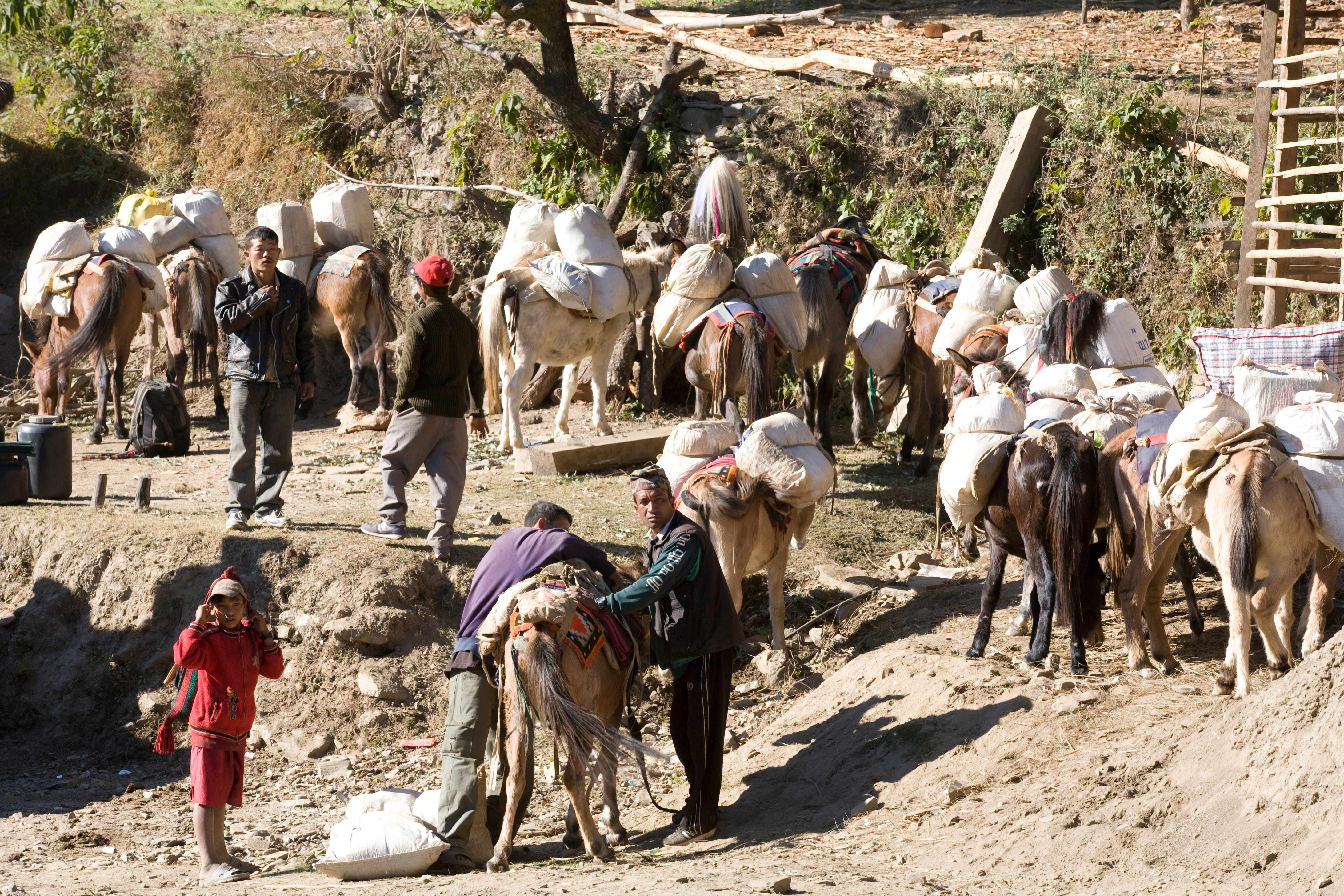 Its message, symbols and/or role in the overall narrative plot) and how it relates to the literary work (or that genre of literary works) as a whole. Moving Mountains How Communities Are Picking Up The By Simone Gie World Food Programme Insight Medium