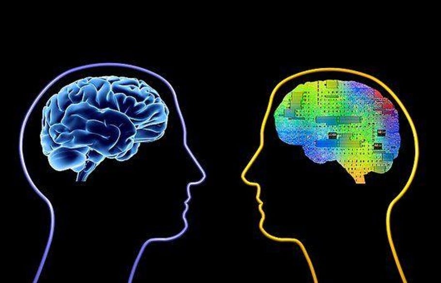 Beyond Neurons Five Cognitive Functions of the Human Brain that we are Beyond Neurons Five Cognitive Functions of the Human Brain that we are