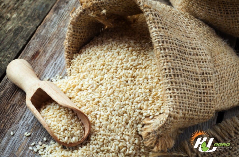 Sesame Seeds An antidote to Diabetes & Prediabetes by HLAgro Medium