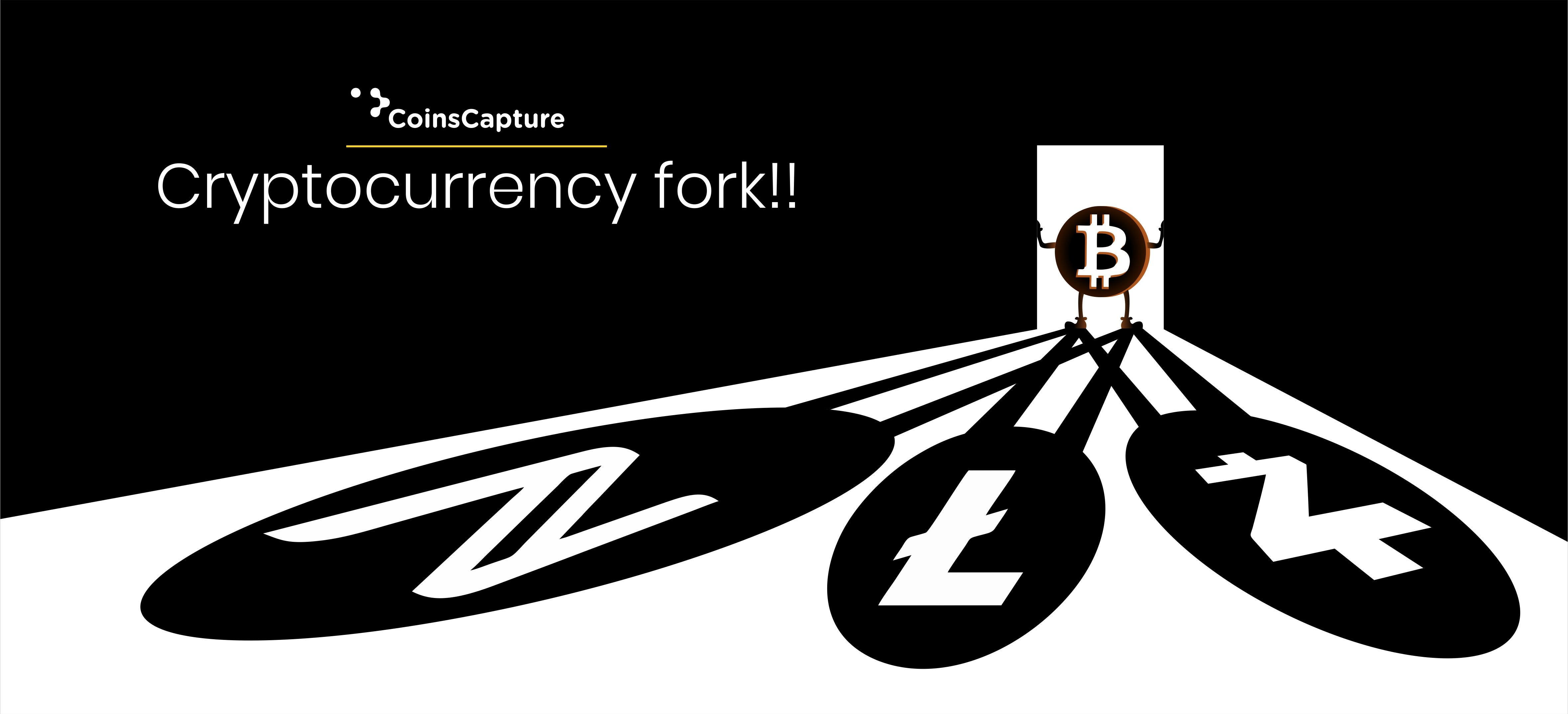 Know everything about Cryptocurrency Fork !!! by Coins