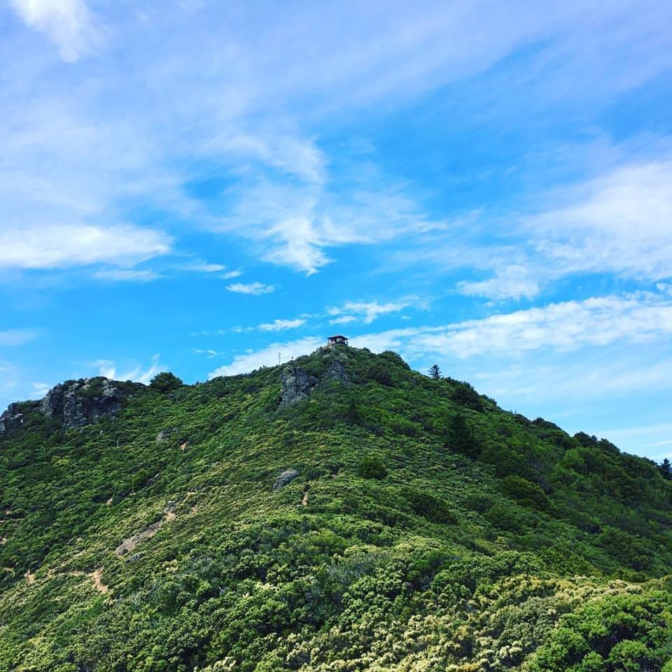 How to Hire a Top Flight Commercial Real Estate Broker 21 Questions to