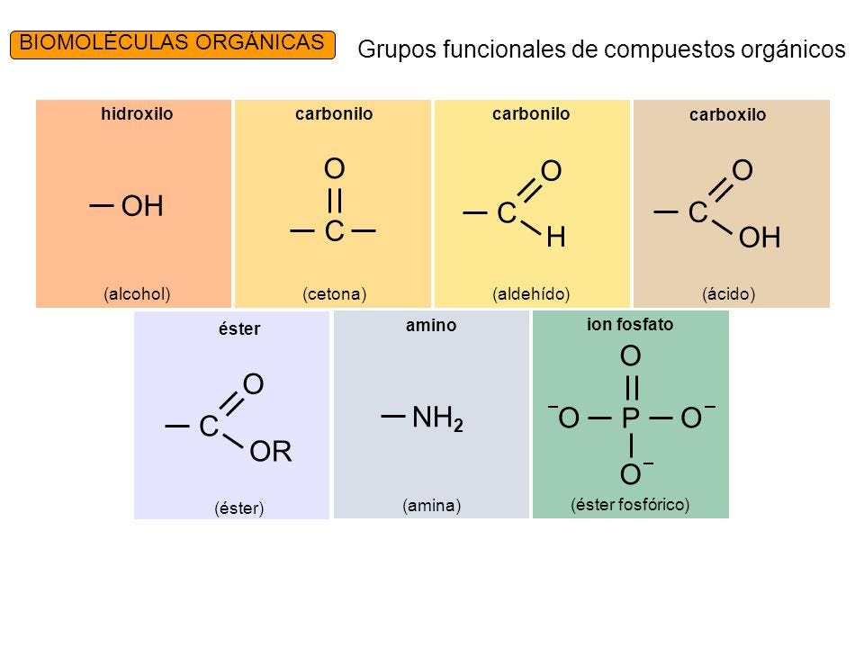Principales grupos funcionales. Todas las biomoléculas orgánicas son
