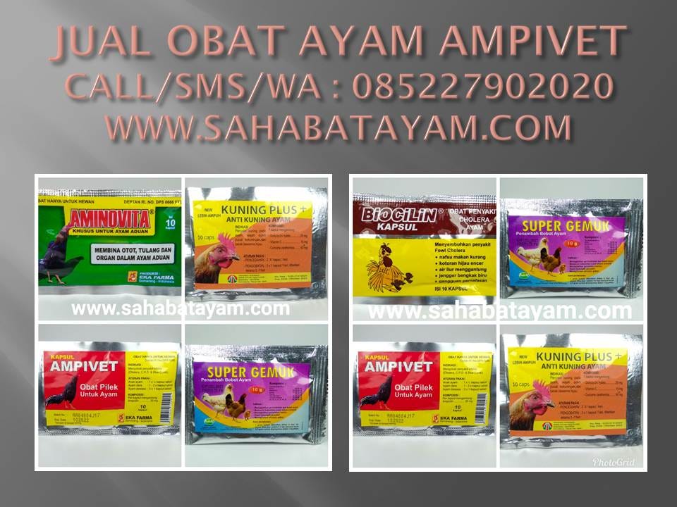Wa O85 227 9o2o2o Terbaru Tempat Beli Obat Ayam Pilek Krok Medan
