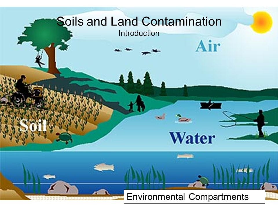 Why Pollution Matters. I’ve decided to make this blog post a… by