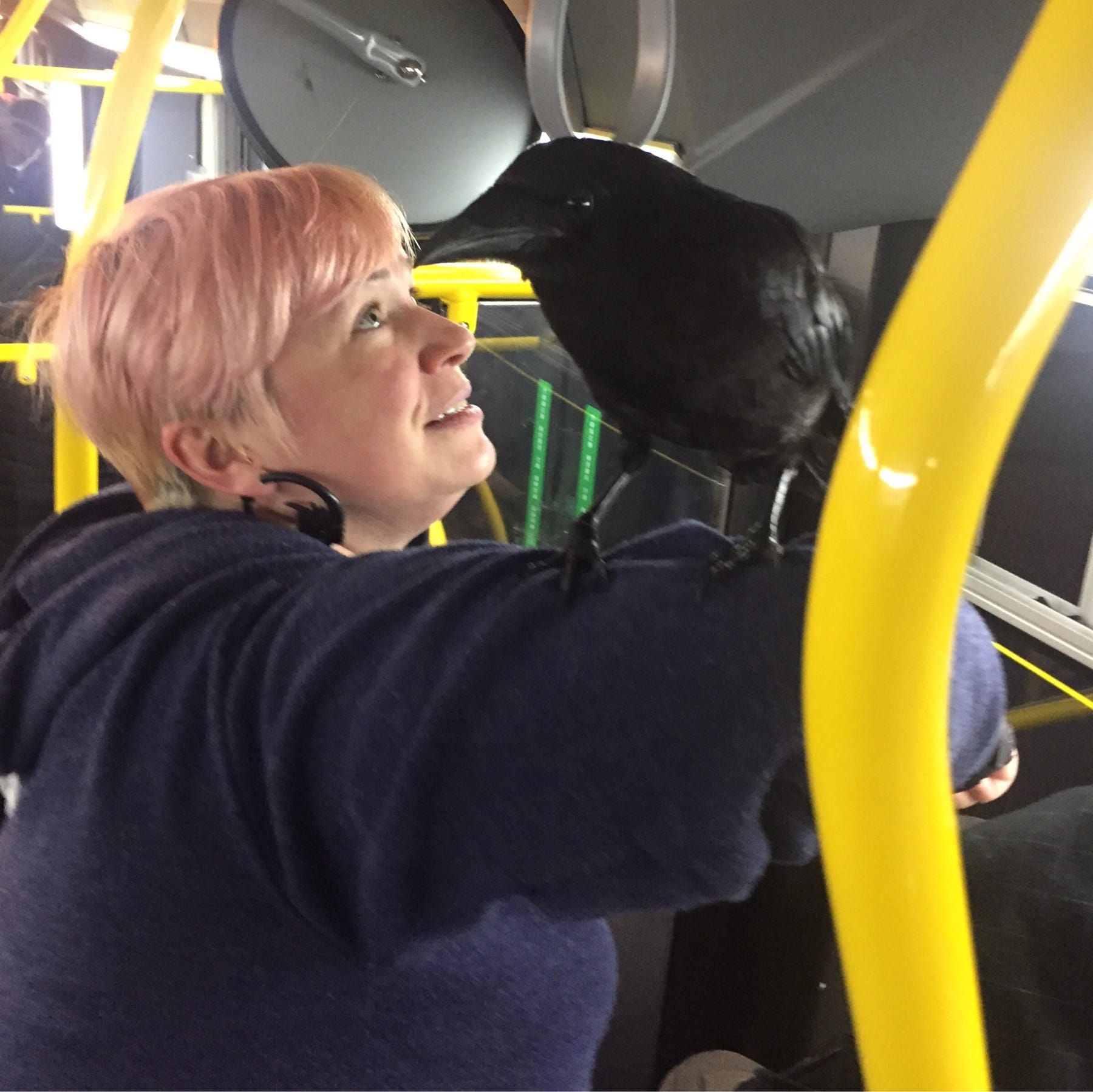 The story of Lenore, the Muni raven cynthia Medium