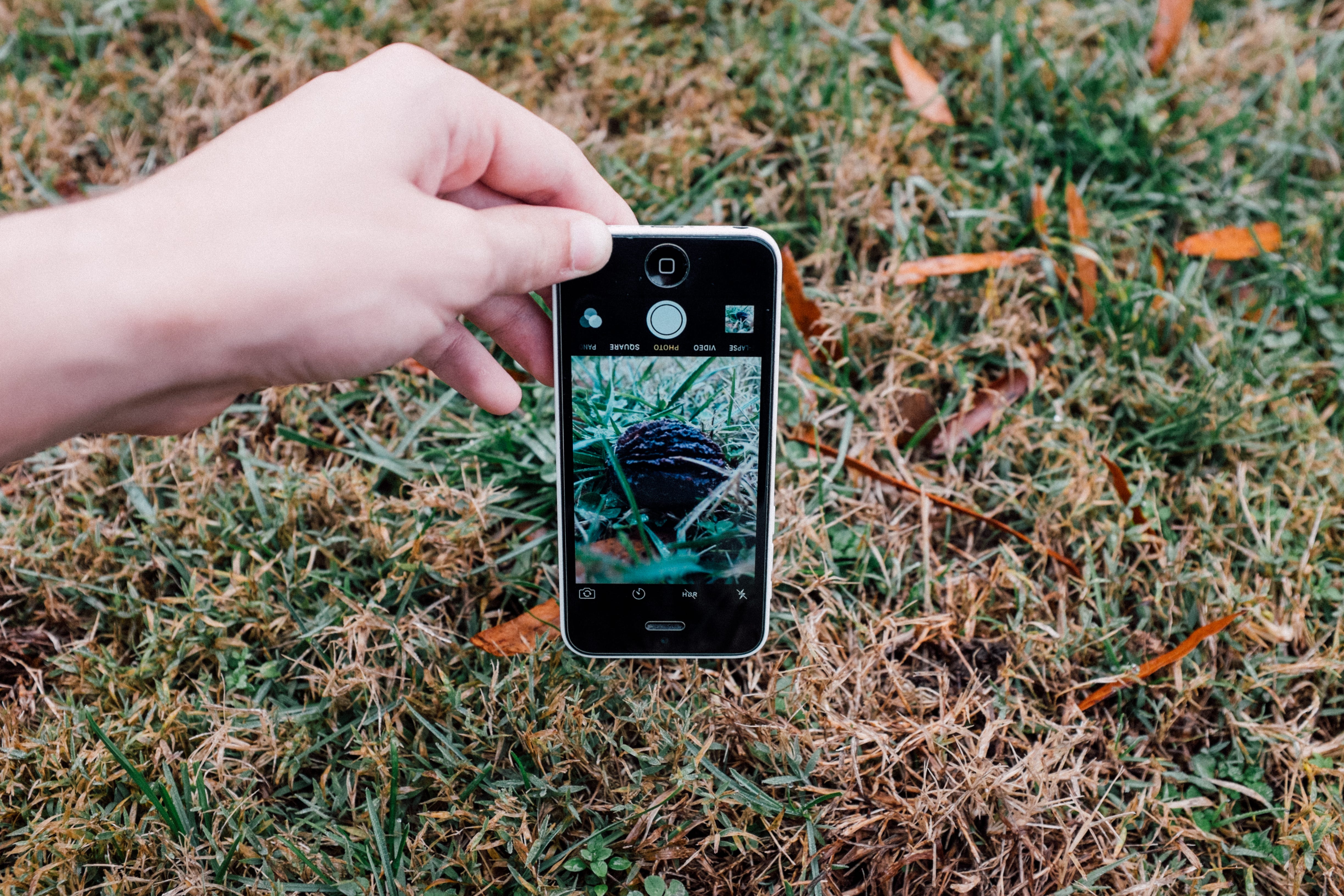 iPhone Photography Basics. These three tips are absolute basics… by