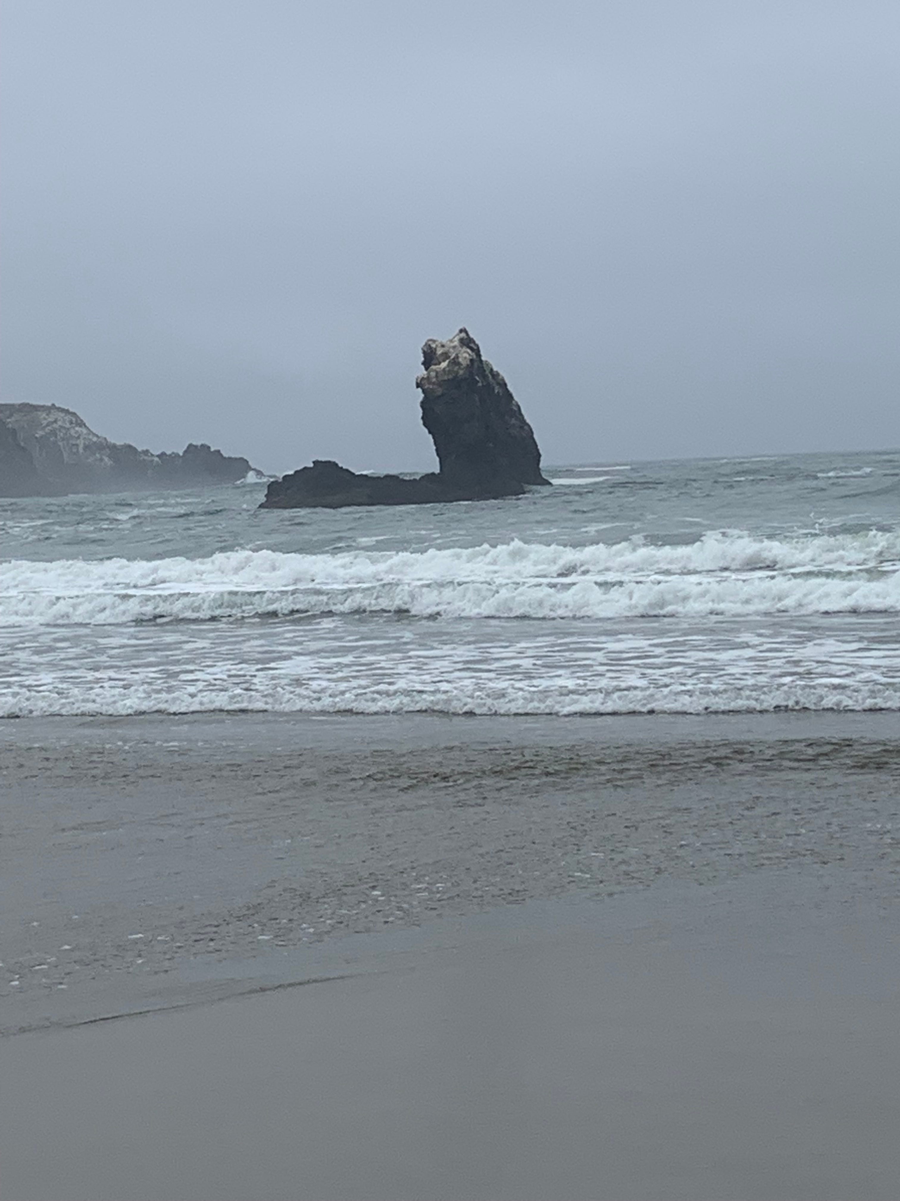 Pacific Shores RV Resort Earns a A+ by Brenda Mahler RVing in