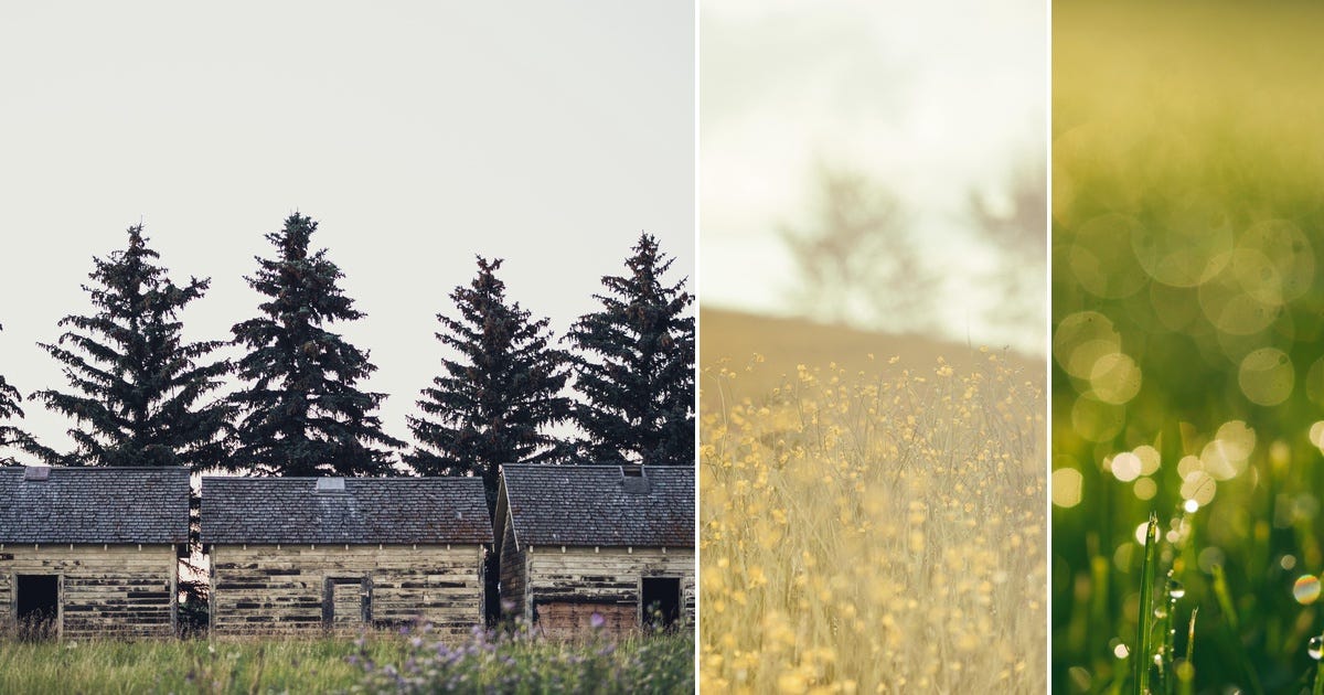 List MLOps Curated by Parham Dehghani Medium