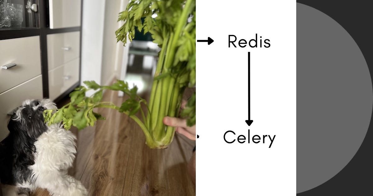 List Celery Curated by Alina Bazavan Backend Developer (Python