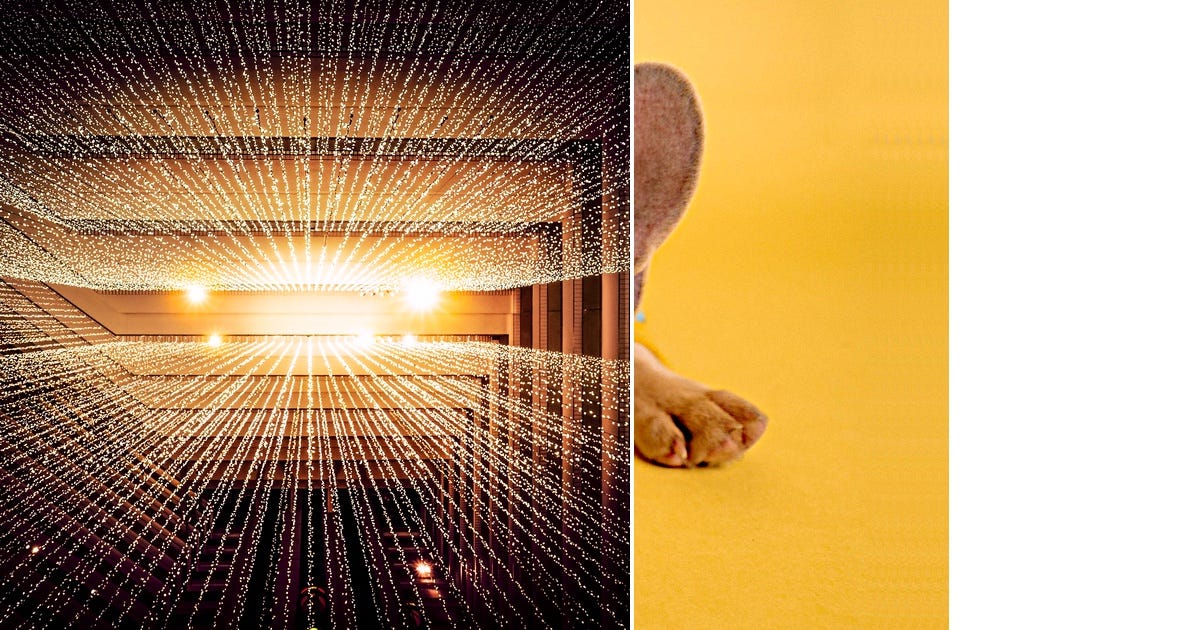 List spark Curated by Roshaan Zafar Medium