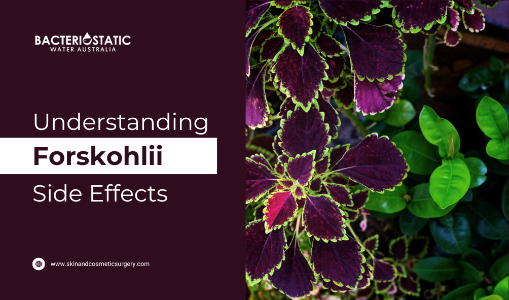 Understanding Forskohlii Side Effects What You Should Know by