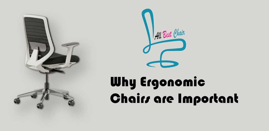 Why Ergonomic Chairs are Important by All Best Chair Medium