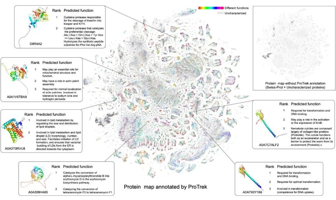 Protein CLIP：Bridging Sequence, Structure, and Function with Universal