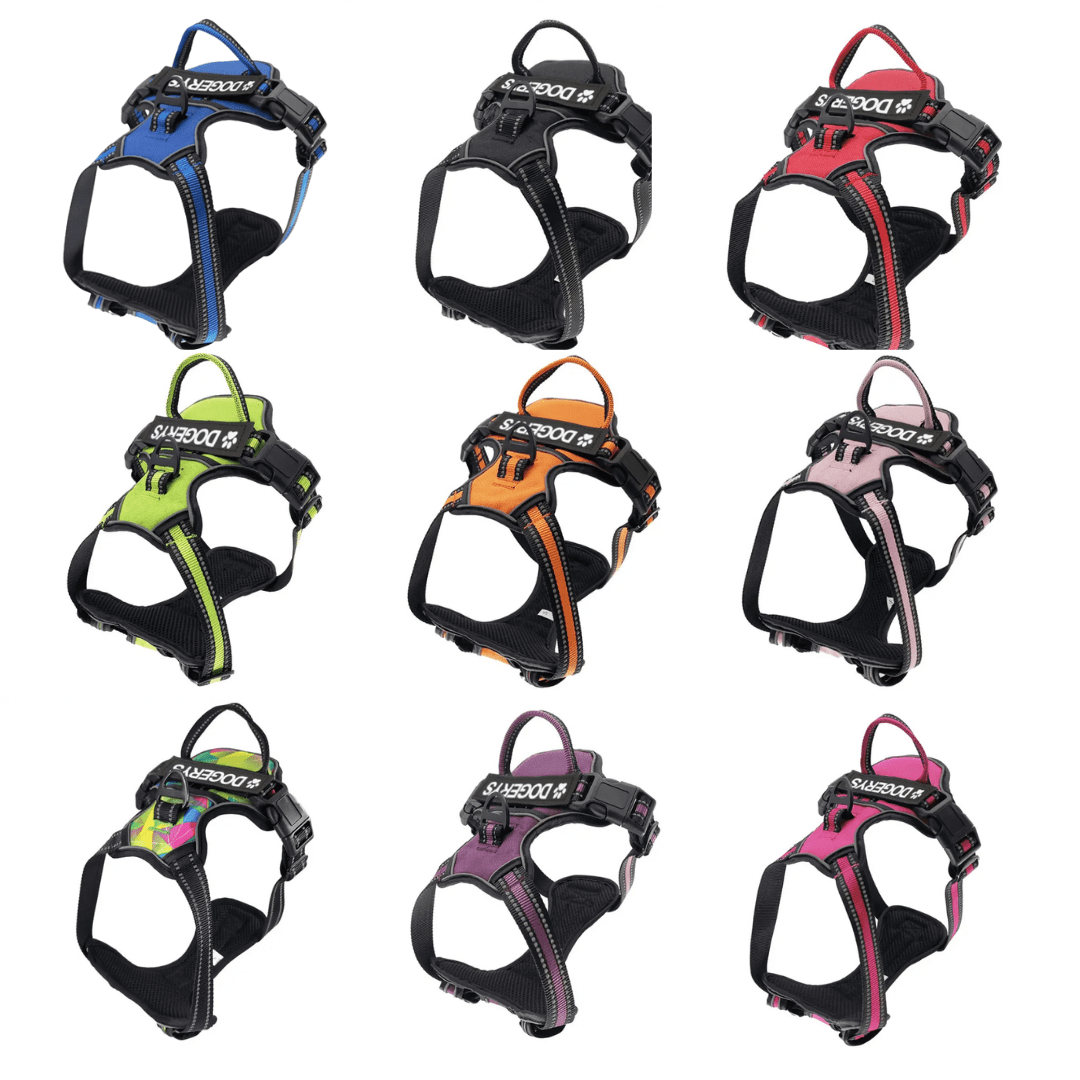 Perfect Fit Dog Harness | Premium Dog Harnesses for Walks at Dogerys