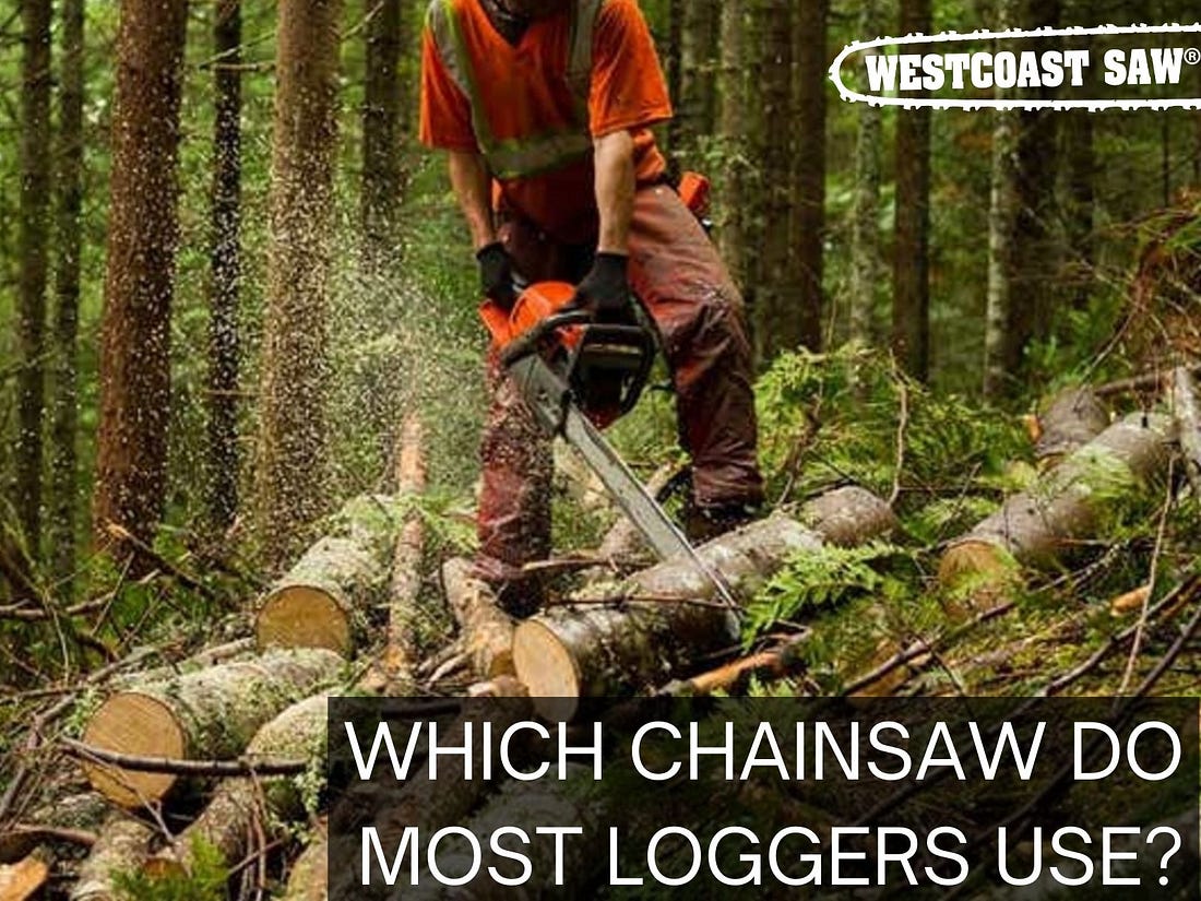 WHICH CHAINSAW DO MOST LOGGERS USE? by Westcoast Saw Medium