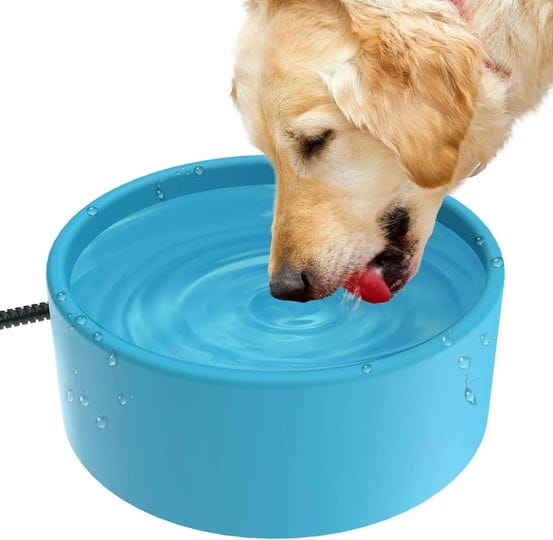 Heated Water Bowls by Devin Williams Jun, 2024 Medium
