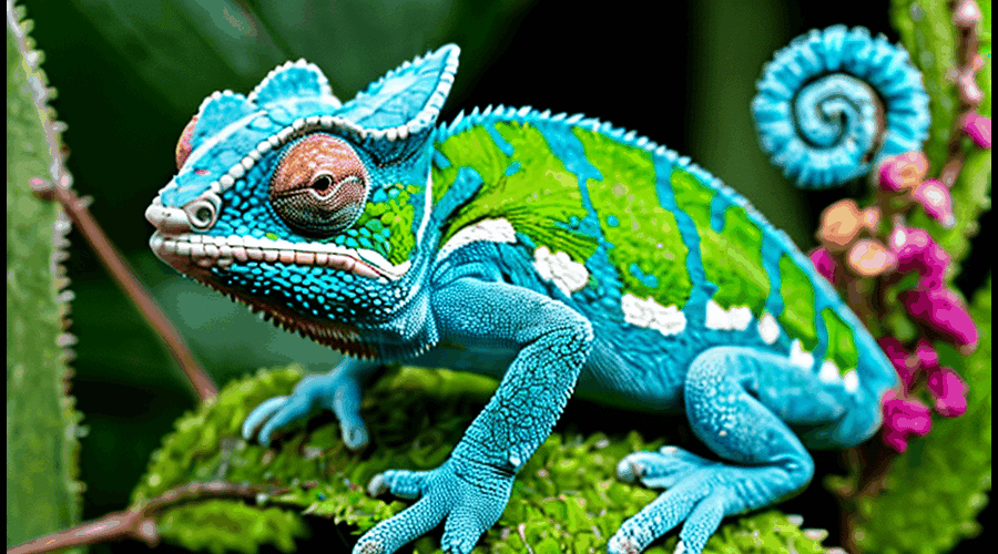 Lint Lizard by Logan Kelley Mar, 2024 Medium