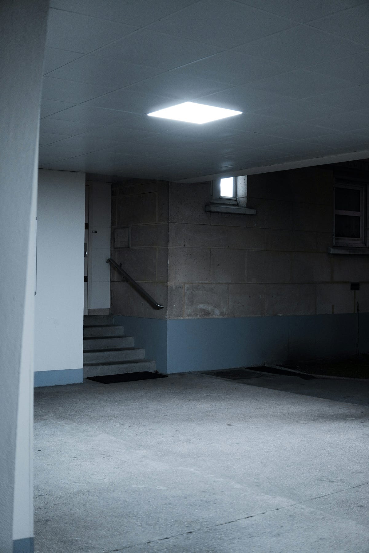 The Secret Basement. After a flood, a house reveals a hidden… by(03)