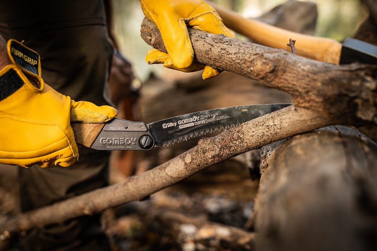 Palm Tree Saws A CuttingEdge Tool for Pruning Palms by Mosharraf