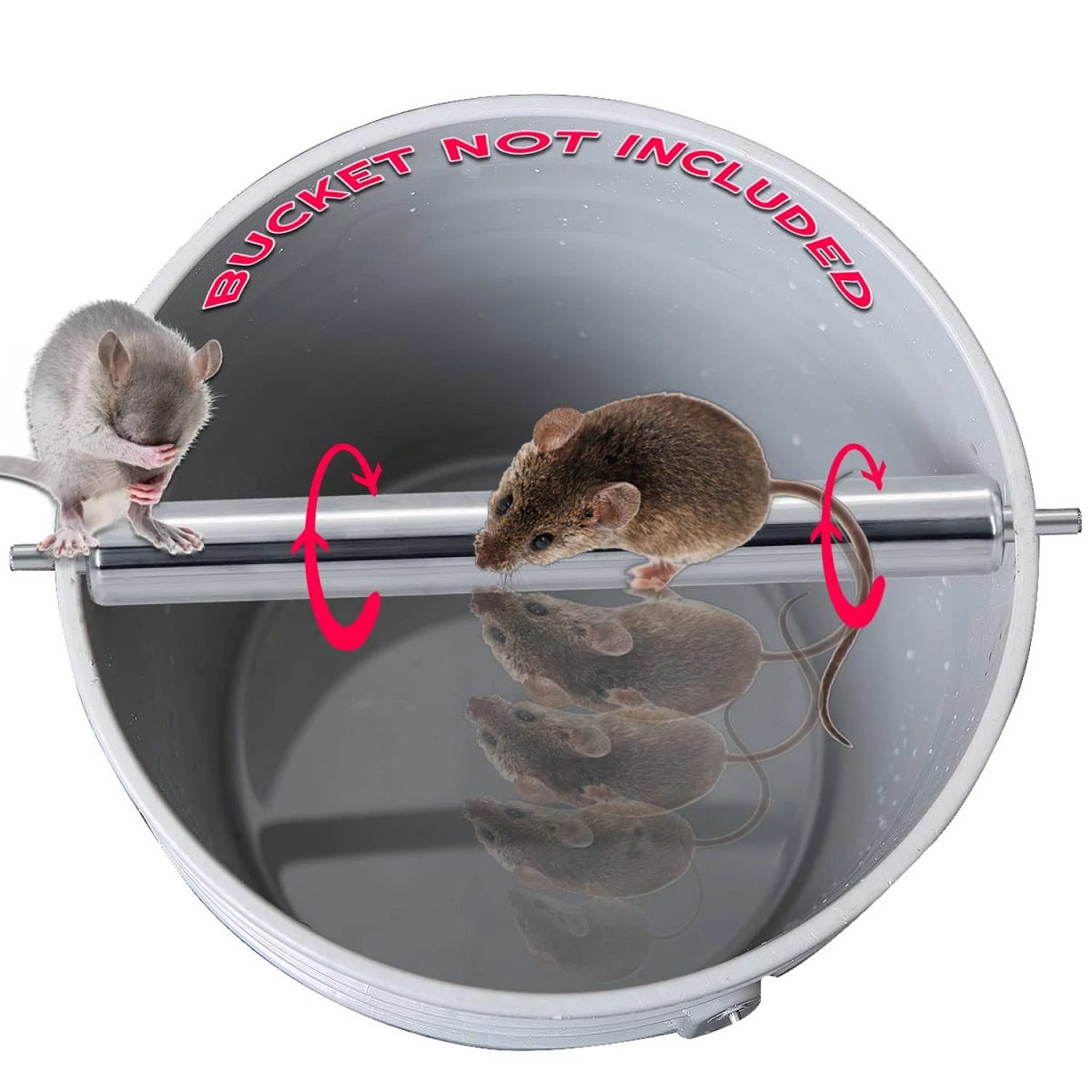 Best Bucket Mouse Trap by Richard Watson Medium