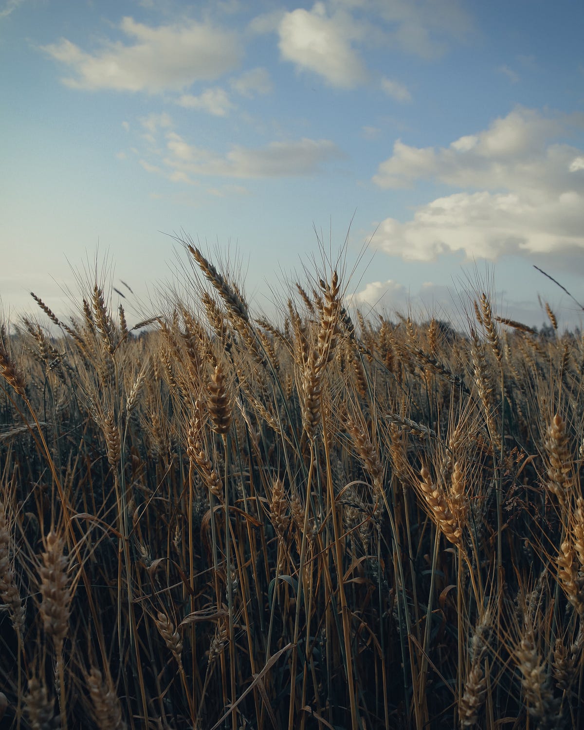 How Do We Help Today’s Youth Get Some Much-Needed Grit | by Denise P