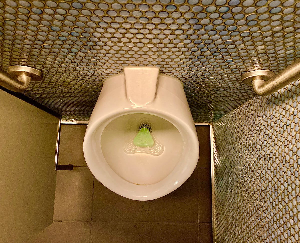 Why are They Called Urinal Cakes? by Randy Pulley Read or Die! Medium