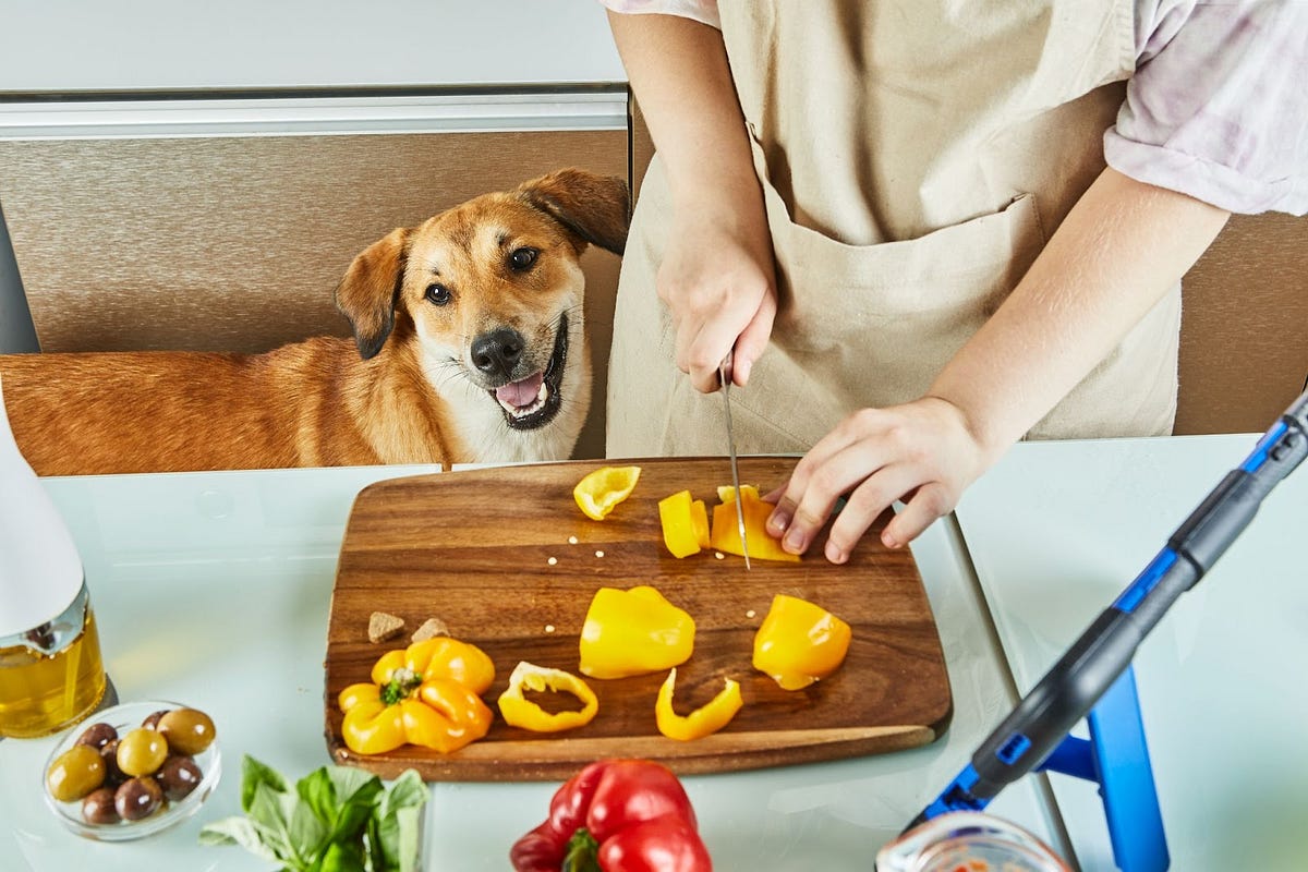 3 Homemade Wet Dog Food Recipes. Frequently, canines by Kwik