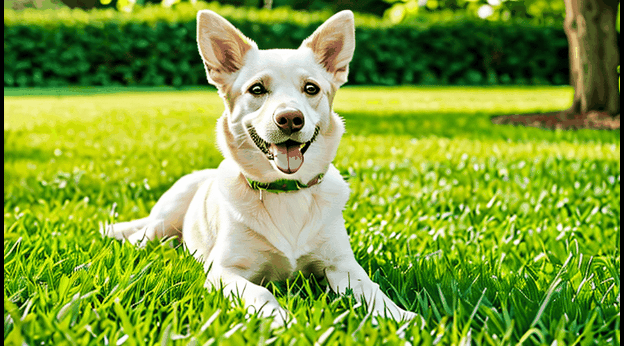 Grass Patch For Dogs by Thalassa Medium