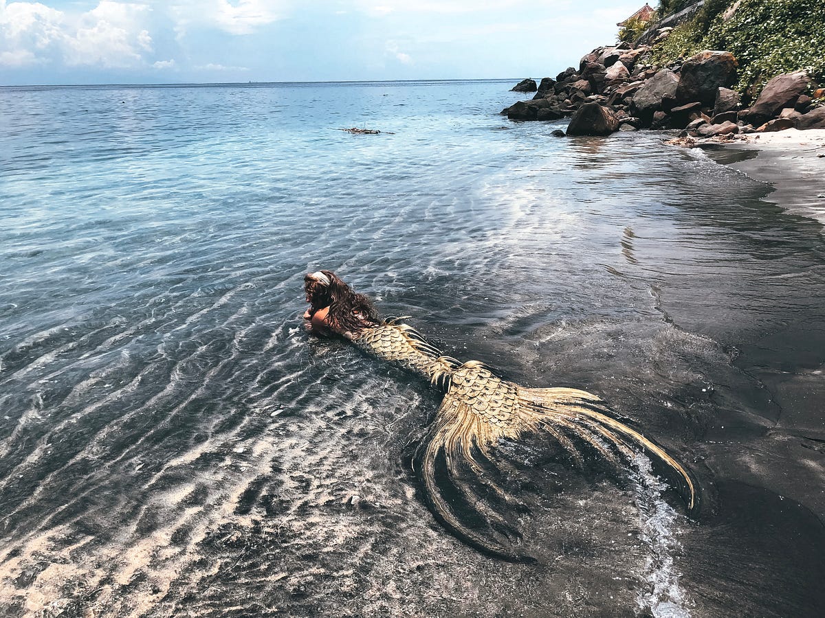Could Mermaids Be Real?. An Exploration of Current Scientific… by