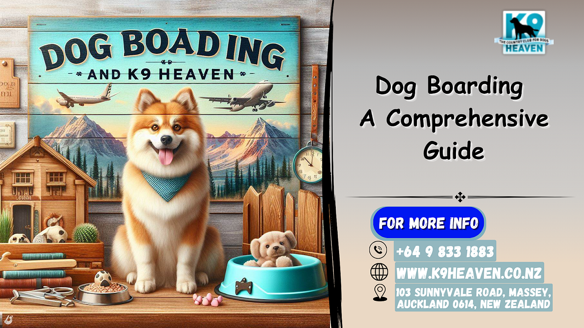 Dog Boarding A Comprehensive Guide by K9 Heaven Jan, 2024 Medium
