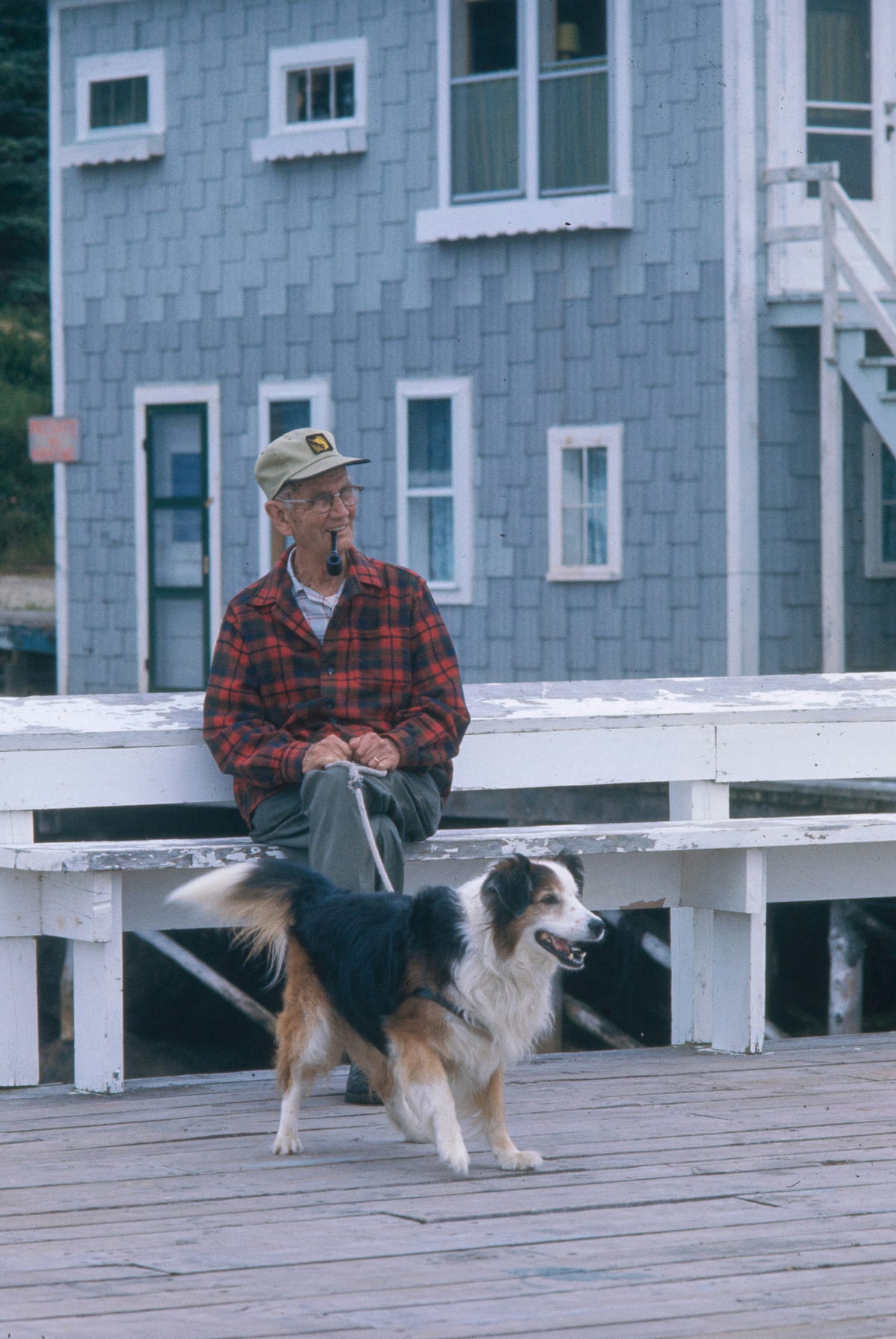 How To Pick the Right Dog for Your Golden Years by Quick Reporter