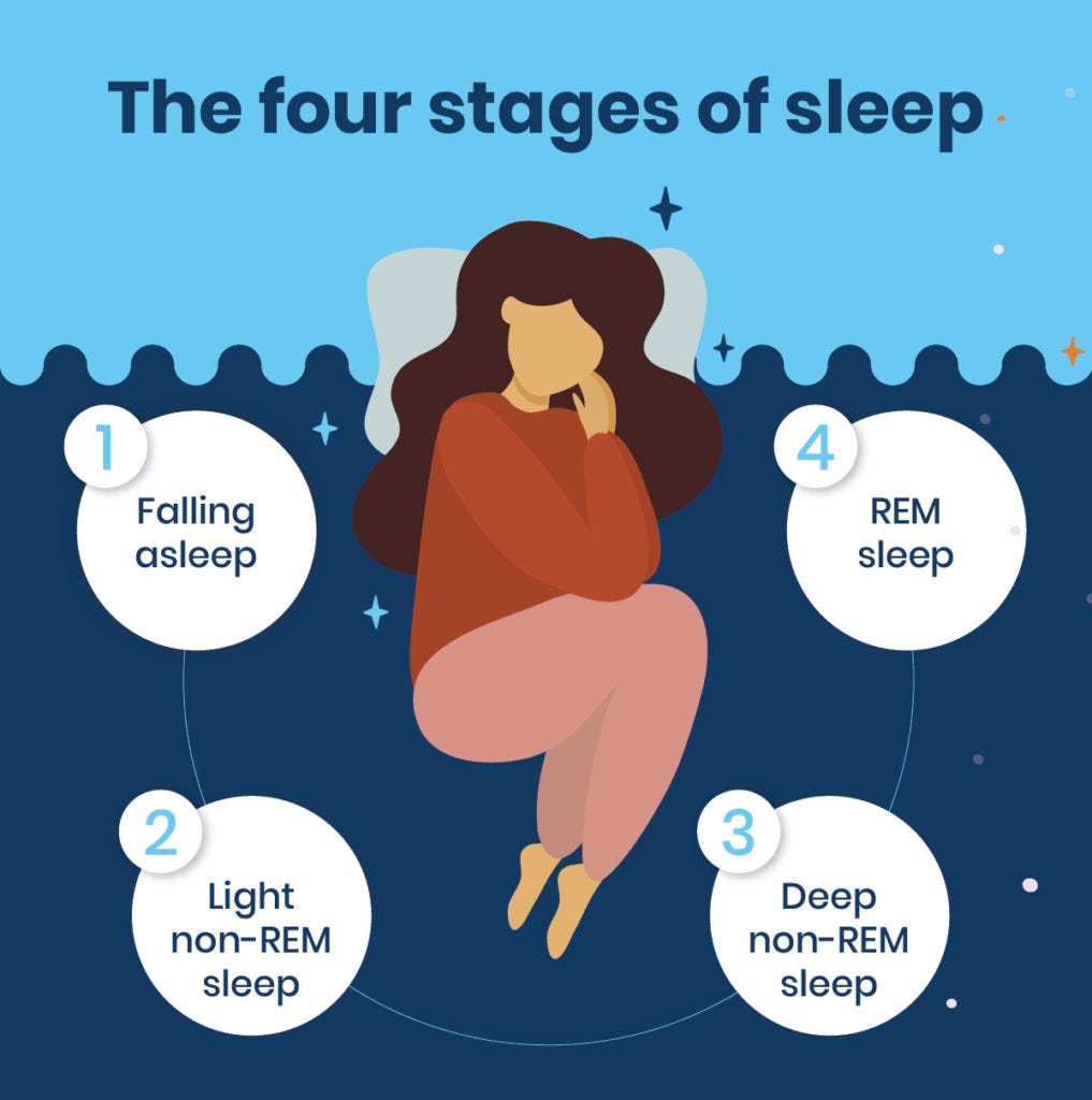 What is REM Sleep? by The Sleep Loft Online Mattress Showroom Medium