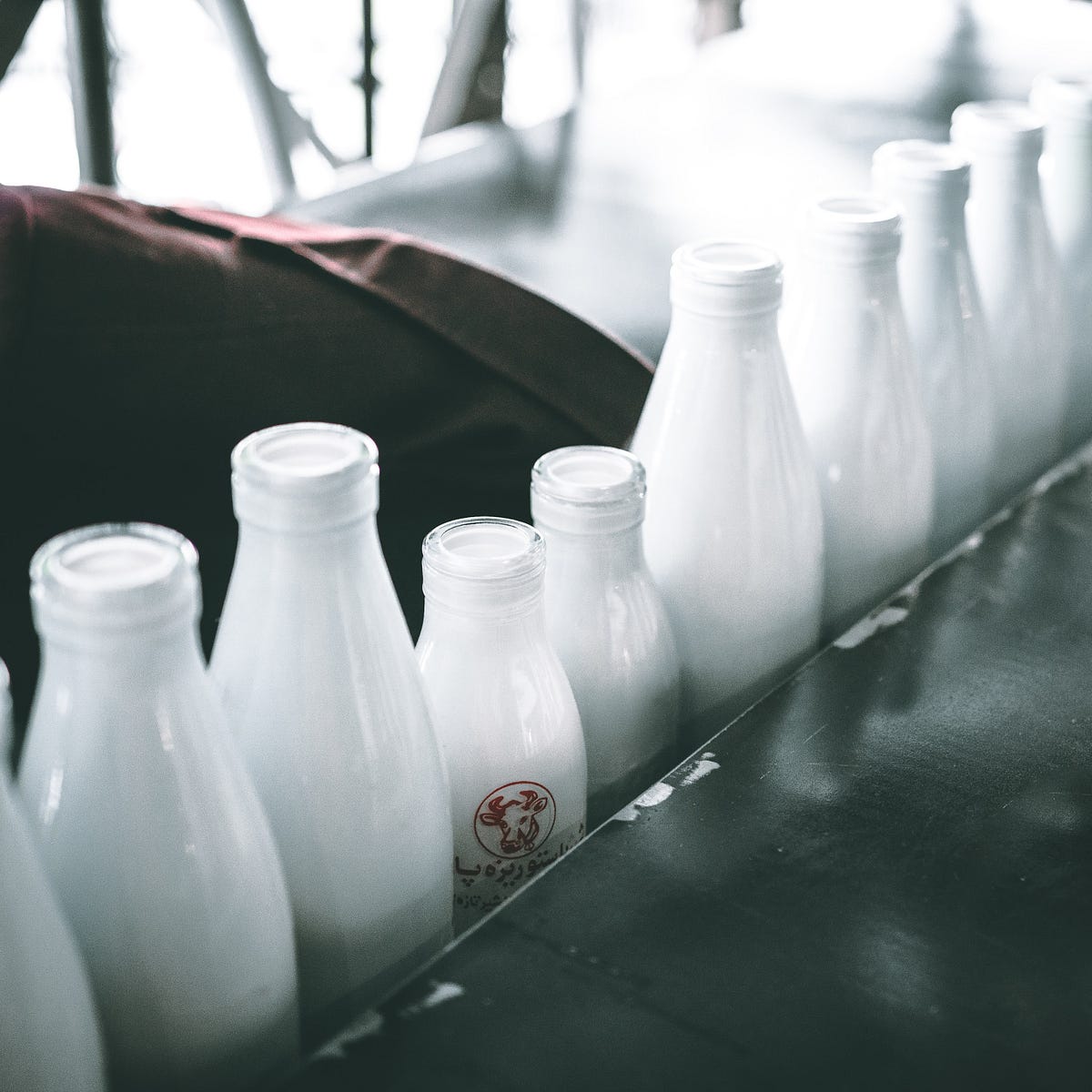 How Long Does Milk Last Past Best By Date at Ryan Militello blog