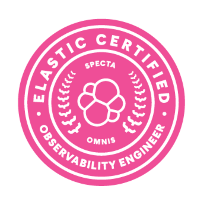 Elastic Certified Observability Engineer Exam Metrics — Use the