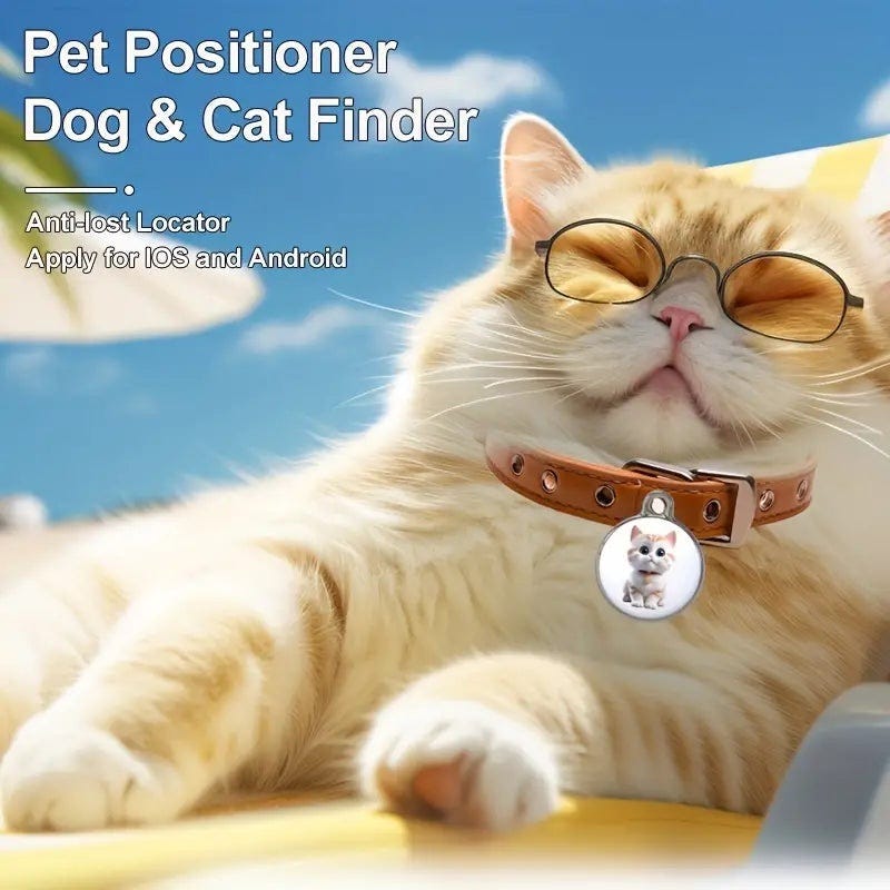 Best Cat Tracking Devices 2024 GPS for Your Furry Friend by