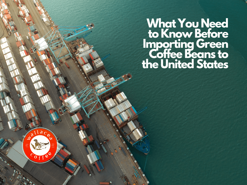 Coffee Import 101 What You Need to Know Before Importing Green Coffee