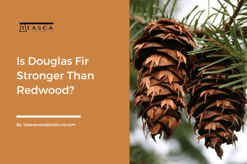Is Douglas Fir Stronger Than Redwood? by Itasca Wood Products Medium