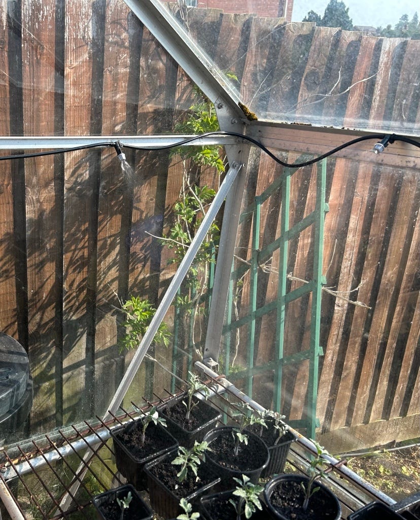 How I Built my DIY Misting System for my Greenhouse by Odianosen