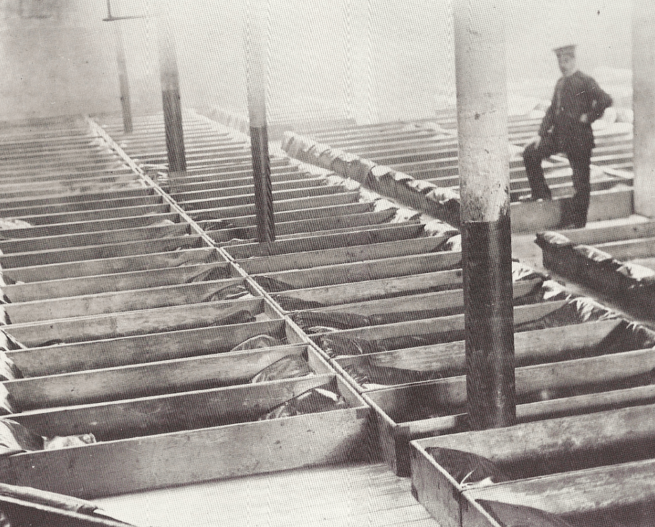 17 Heartbreaking Photos They Didn’t Want in History Books by Isla