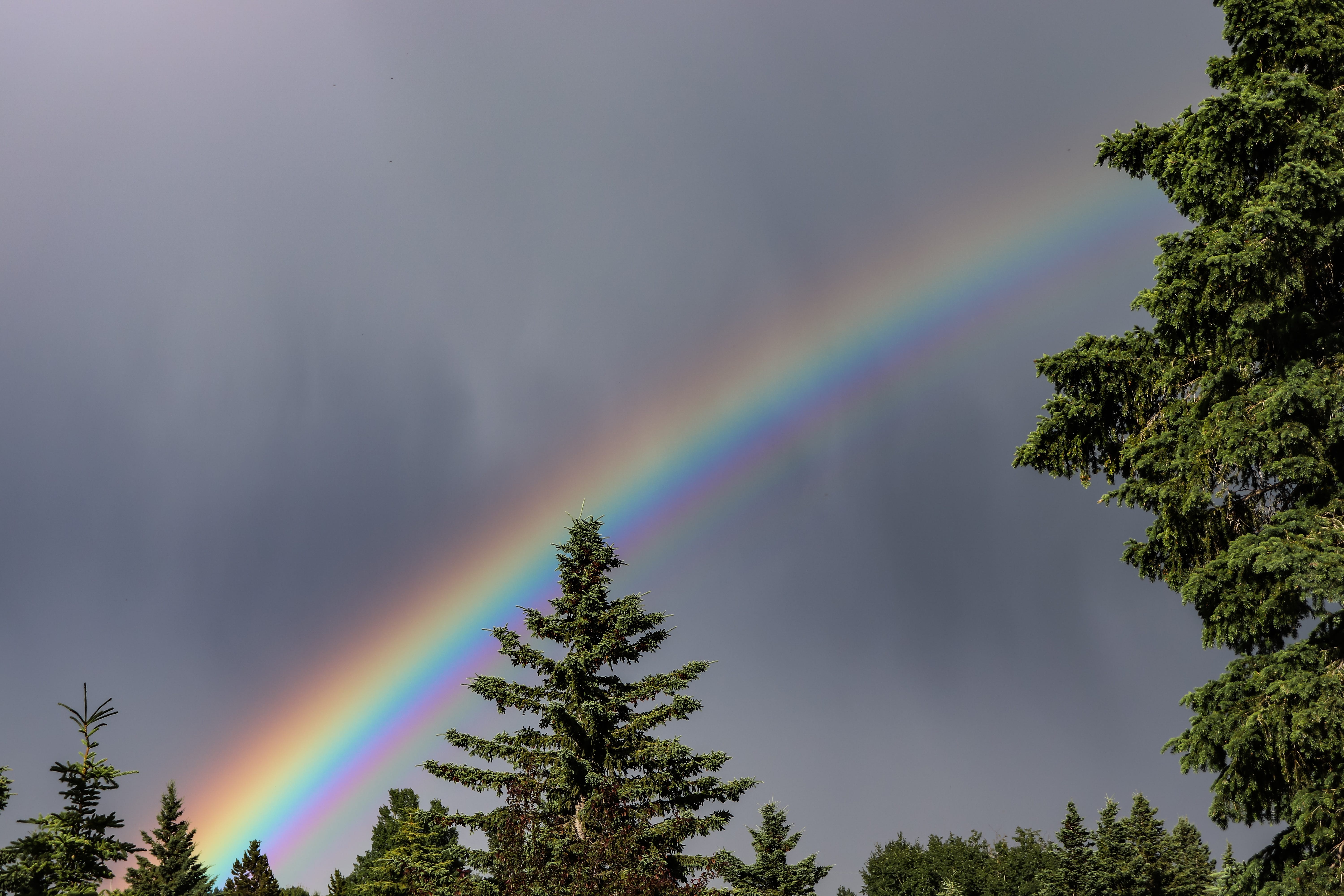 Wow! Your granddaughter is a tough one. I love that she didn't let such