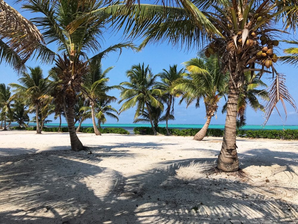 Belize Land & Land Titles. Foreigners and NonBelizeans are able… by