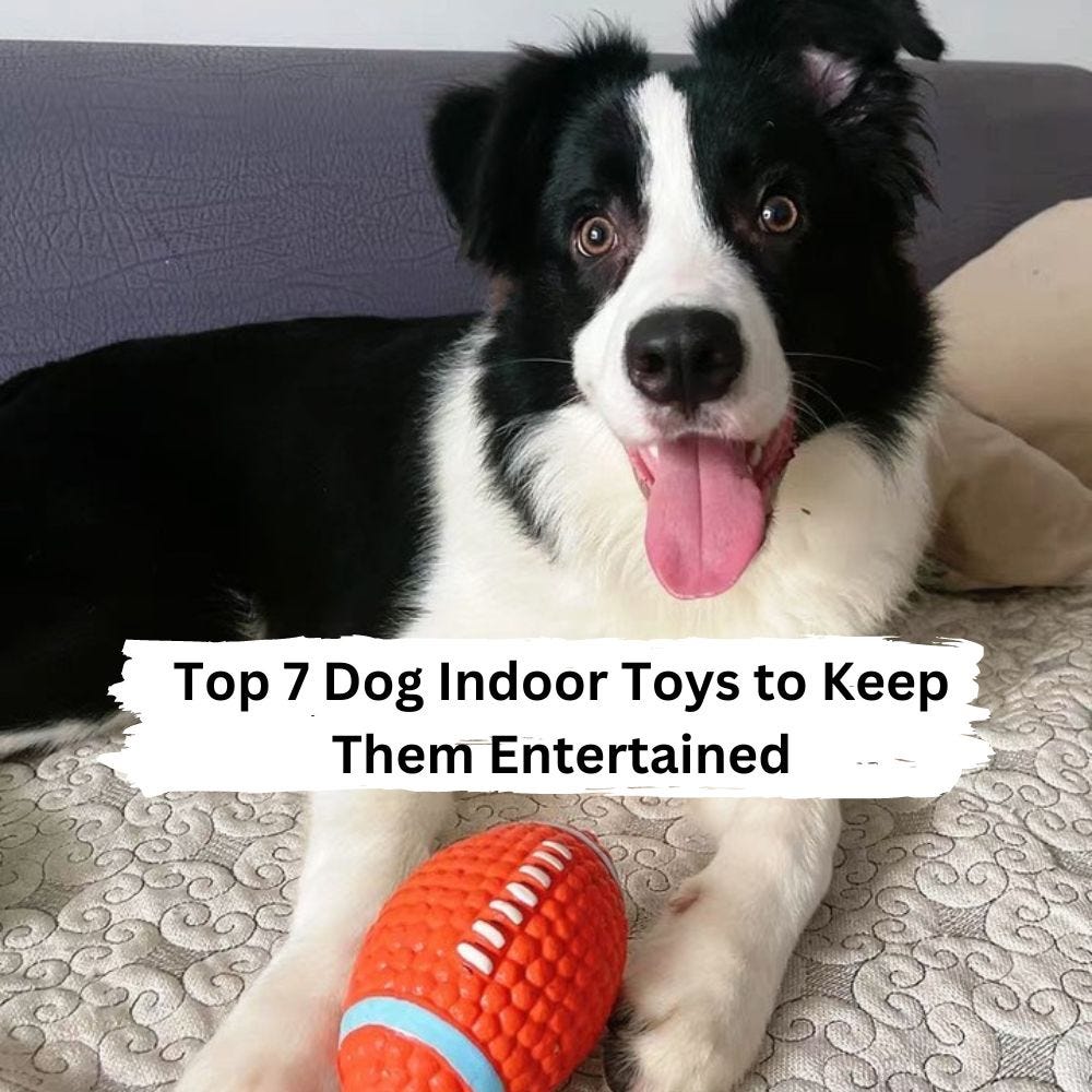 Top 7 Dog Indoor Toys to Keep Them Entertained by Animals Diversity Aug, 2023 Medium