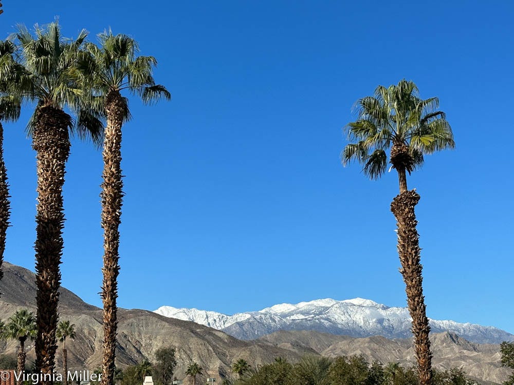 Palm Springs Guide 18 Places to Eat, Drink & Stay Now by Virginia