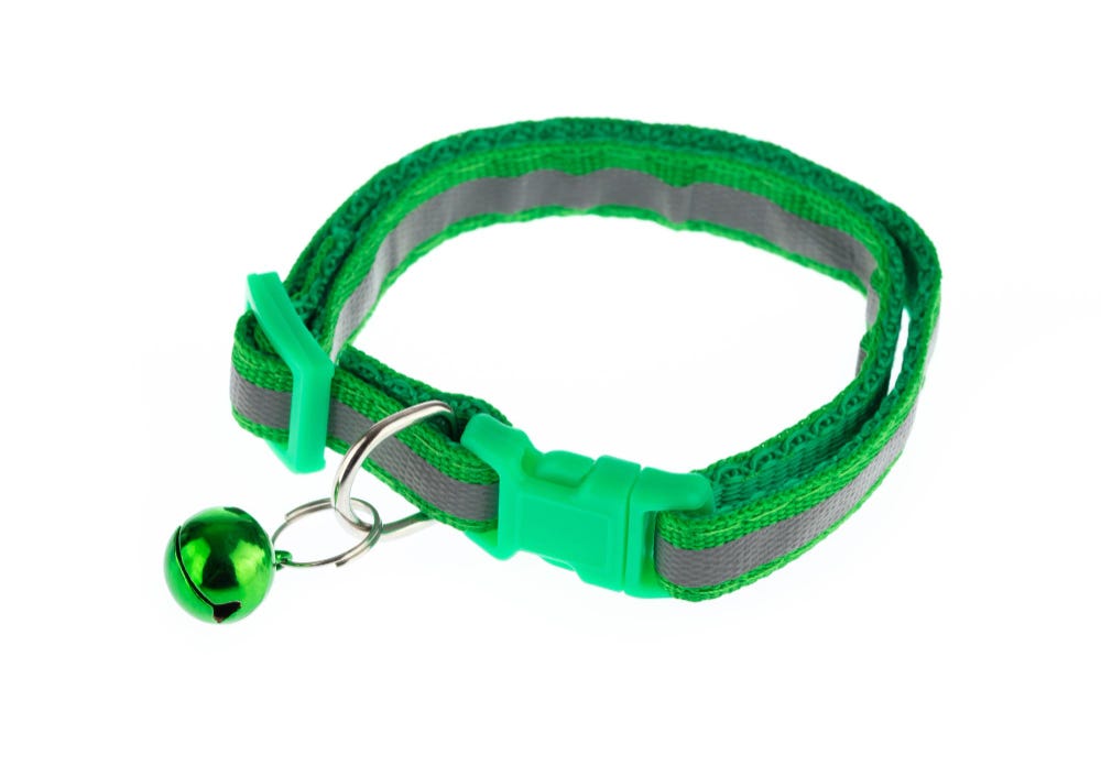 How to Use Inflatable Collars for Dogs by Justin Sorv Medium